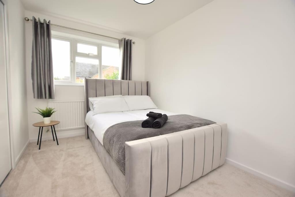 Luxury Central Oxford Detached Home المظهر الخارجي الصورة